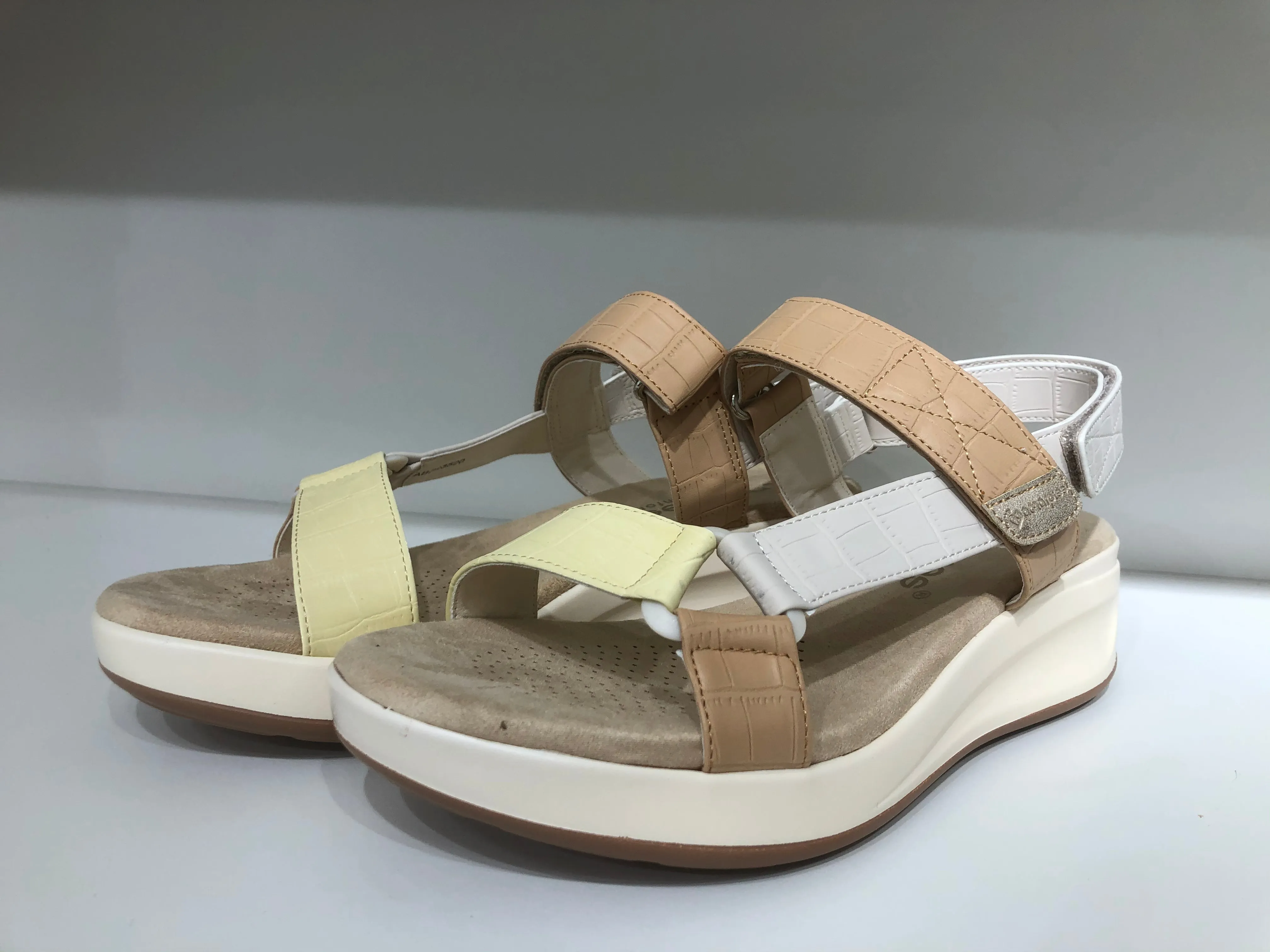 ABZ23520 MULTICAMEL