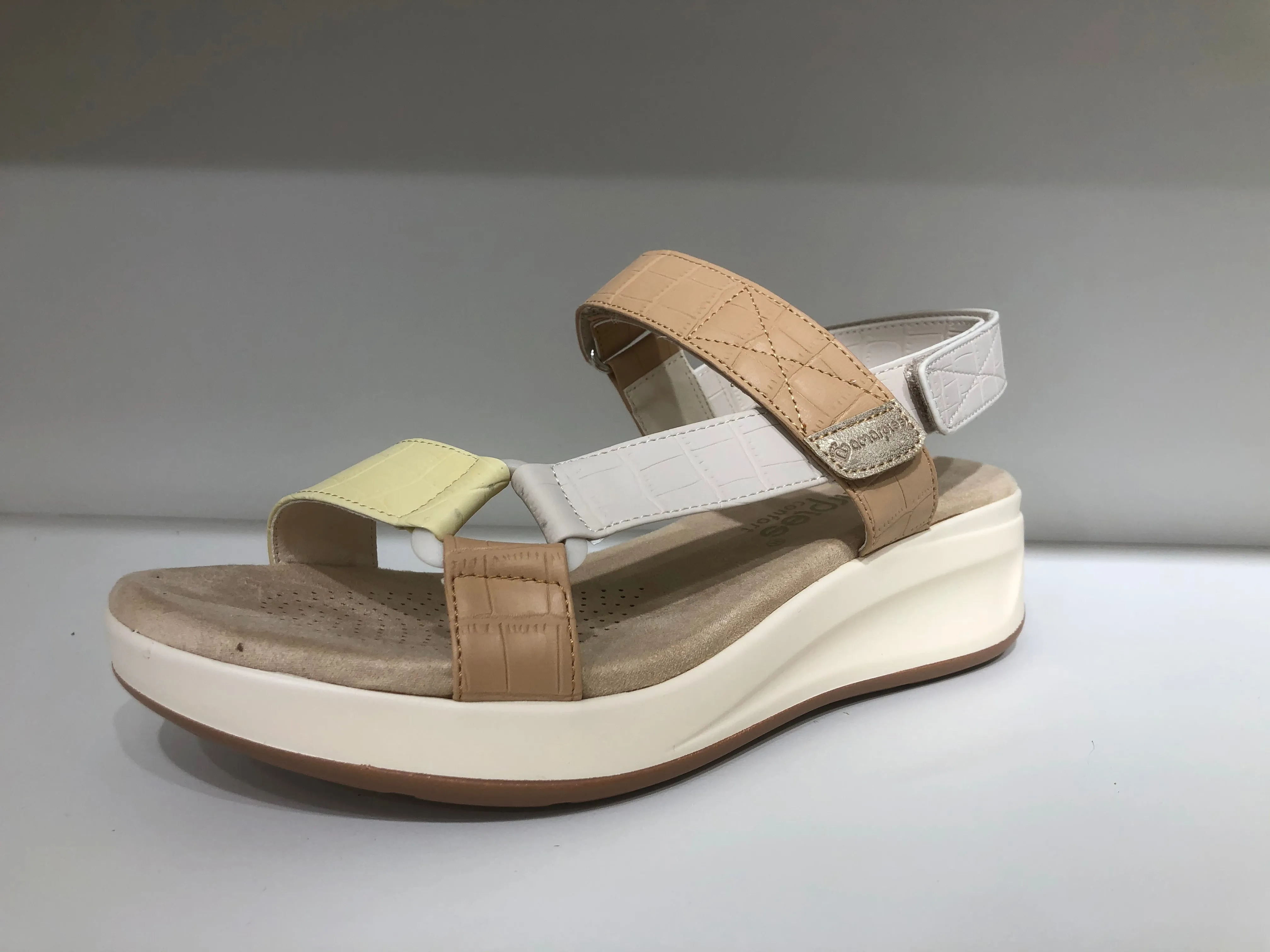 ABZ23520 MULTICAMEL