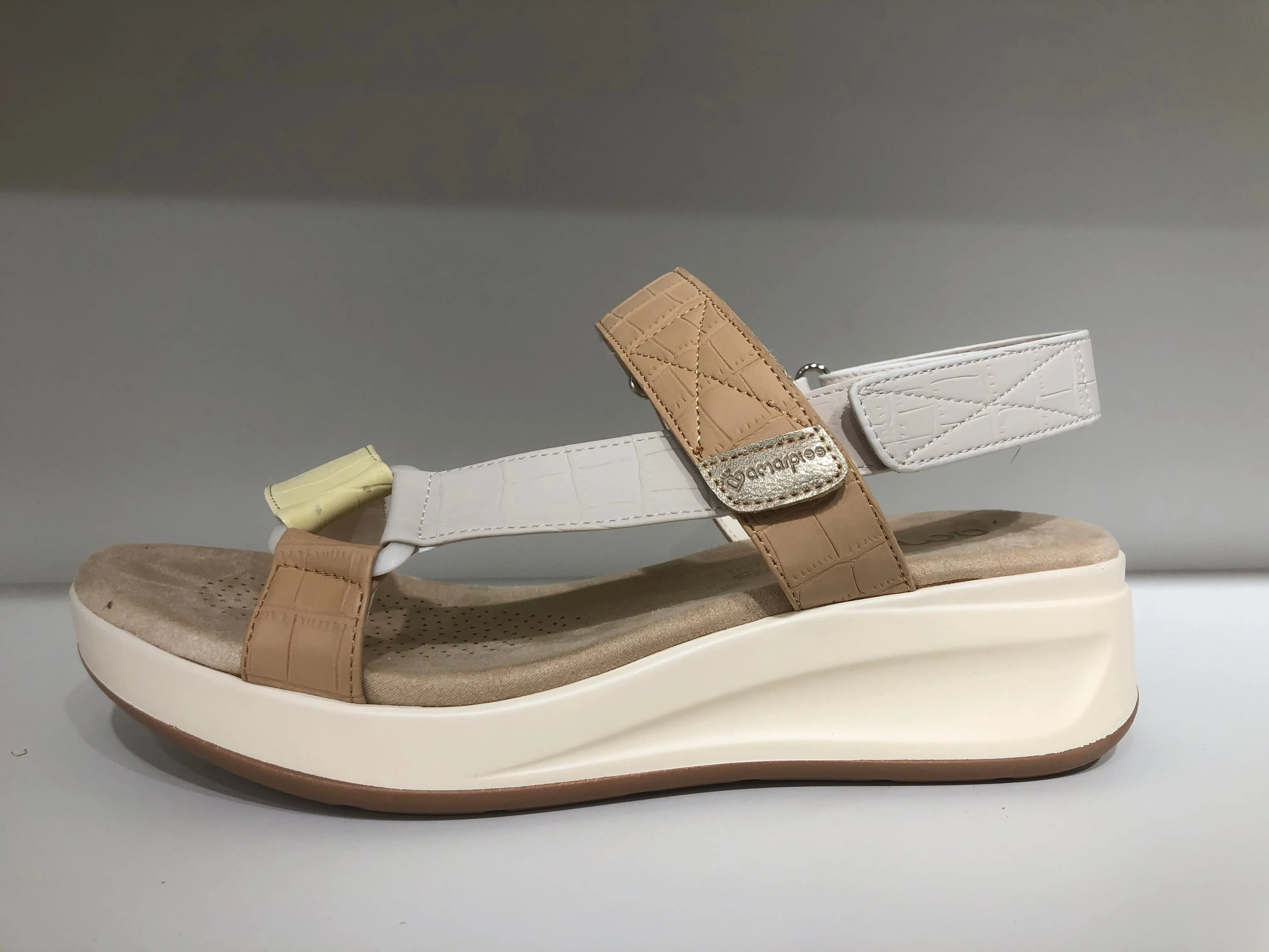 ABZ23520 MULTICAMEL